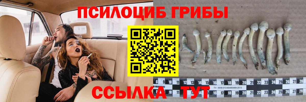 закладка  Псилоцибиновые грибы Psilocybine cubensis  Вход с VPN  Баксан 
